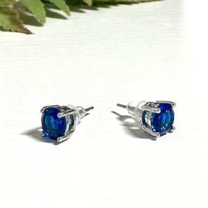 Crystal Round dark Blue Earrings